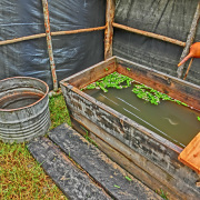 日本人が忘れかけている大切な何かを求める ?ブータンの神髄に触れる旅?