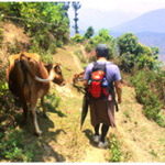 ブータンdeトレッキング