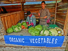 t02200165_0800060013155799518